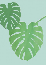OLLI ELLA plakatas Monstera