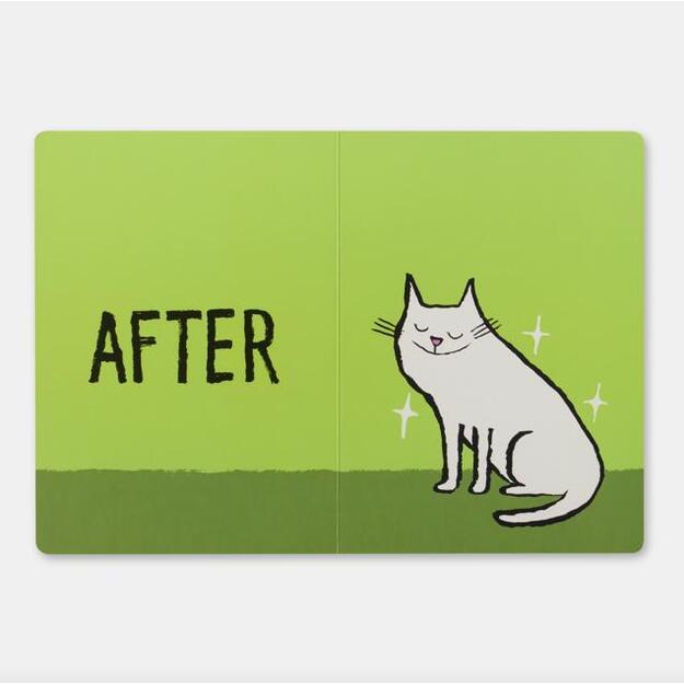 PHAIDON knyga | Before & After