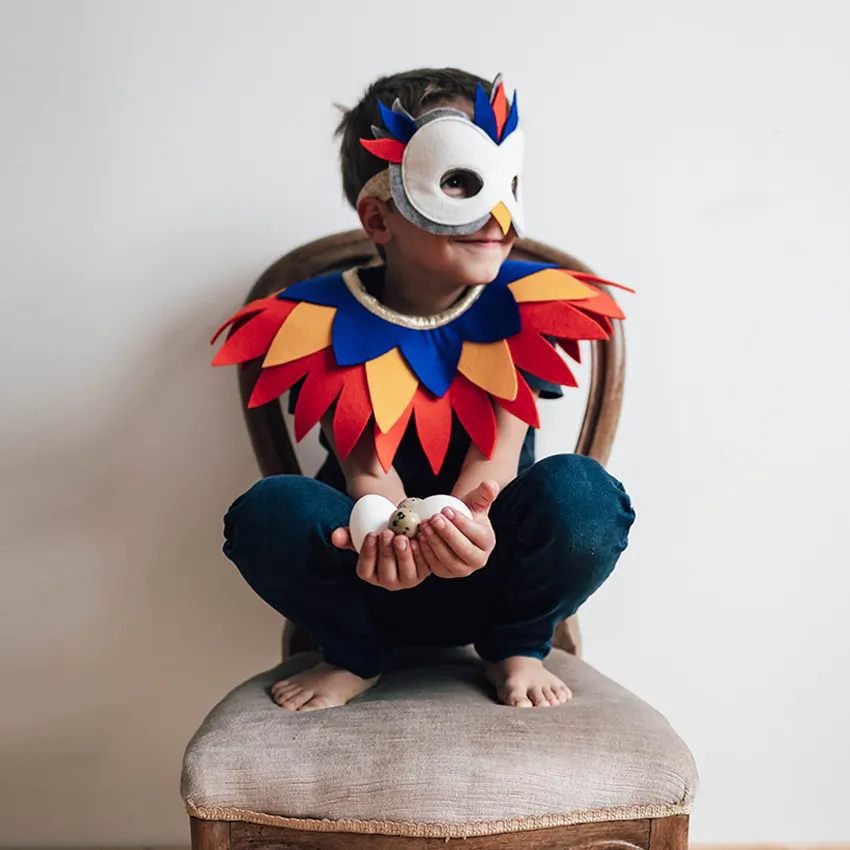 CHERRY BANDITS carnival costume | Bird