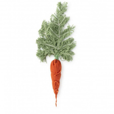 OLI&CAROL DIY Cathy the Carrot