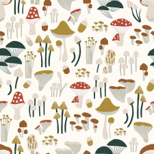 LILIPINSO tapetas | MUSHROOMS | PRE-ORDER