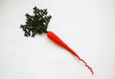 MAPLEAPPLE carrot